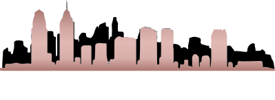 Clear View Solutions